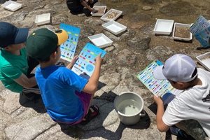 ���������̒����i�씨���j