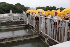 �򐅏�̌��w�i��g�x���j