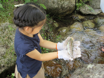 �n��𗬎��Ɓi���̂��ݎ��̌��j